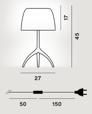 Product technical description details