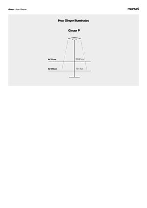 Product technical description details