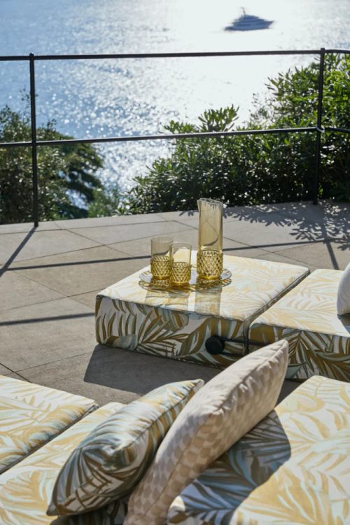 Trix outdoor liberty chile palm